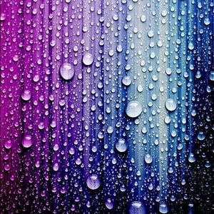 Meet your Posher, Jayla